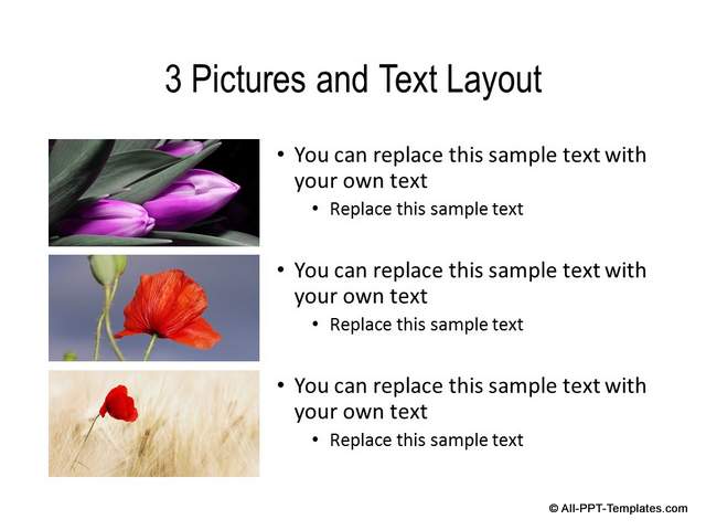 How To Custom Master Slide Layout In PowerPoint