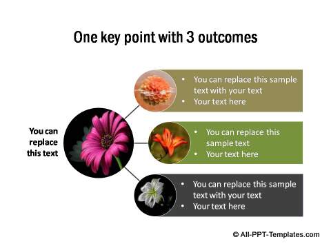 PowerPoint Image Flows 06