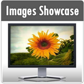 PowerPoint Image Showcase